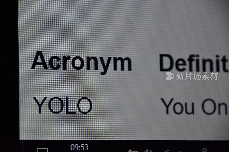 YOLO,意思字典. .生命只有一次